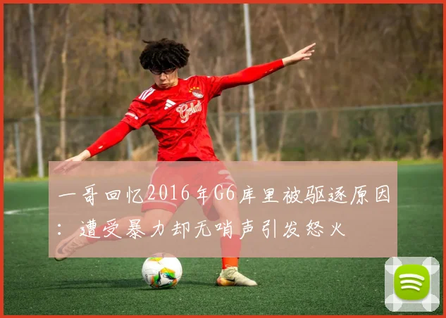 一哥回忆2016年G6库里被驱逐原因：遭受暴力却无哨声引发怒火