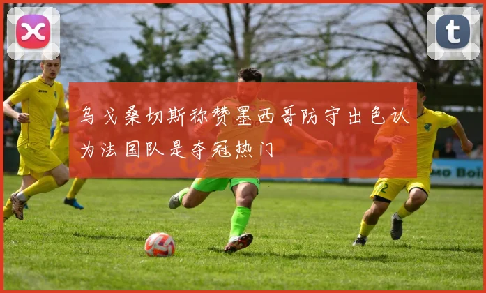 乌戈桑切斯称赞墨西哥防守出色认为法国队是夺冠热门
